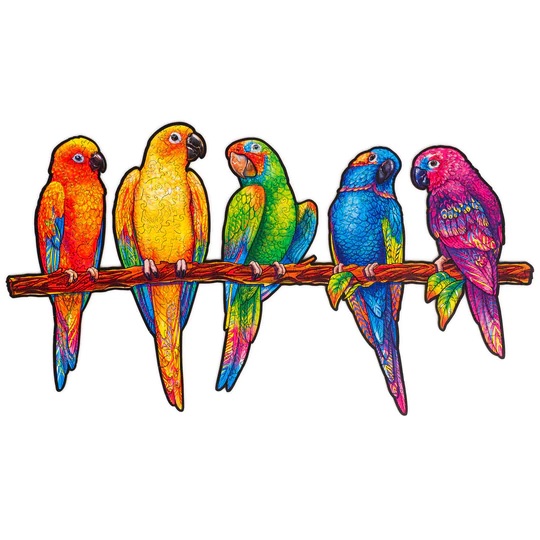 UNIDRAGON - Playful Parrots (24 x 33 cm - Größe M) Holzpuzzle - 