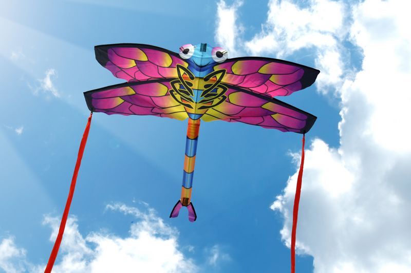 X-Kites SkyBugz Kites Libelle - Einleiner-Drachen/Kinderdrachen-/bilder/big/Fotos%20X-Kites-Libelle-2015.jpg