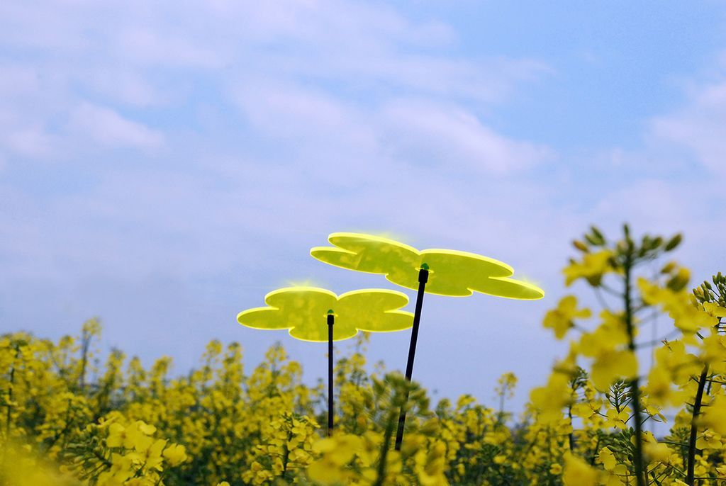 Elliot Lichtzauber - Sonnenfänger Blume mini 4 cm inkl. 20 cm Stab-/bilder/big/lz_rapsfeld_2.jpg