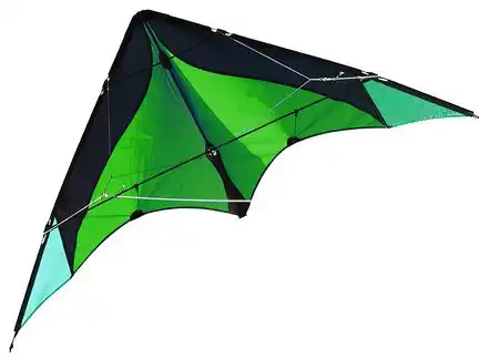 11111Elliot Delta Basic - Elliot Delta Basic - Zweileiner-Lenkdrachen/Stabdrachen (2-Leiner) rtf 117 cm x 59 cm Gfk-Vollstab 3 mm grün/schwarz